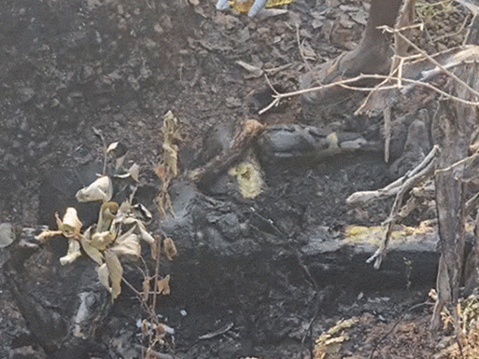 पुलिस ने मृत बताया...थाने में बोला युवक-मैं जिंदा हूं:61 दिन पहले लाश मिली थी, मर्डर-केस में 3 दोस्त जेल में, टेंशन में जशपुर पुलिस