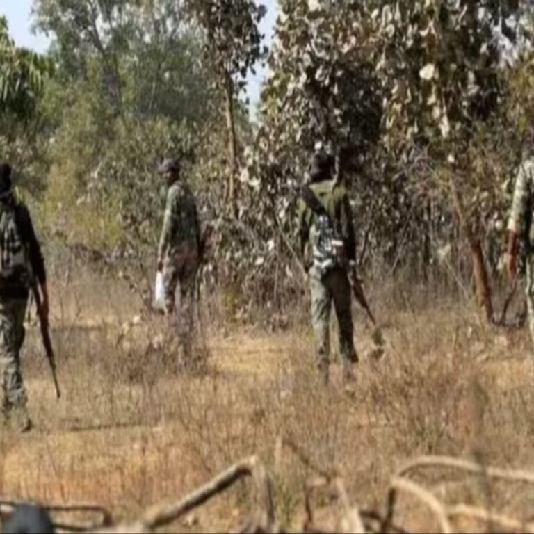 सुकमा में 2-3 नक्सलियों के मारे जाने की खबर:गोलापल्ली जंगल में पुलिस और नक्सली मुठभेड़; दोनों तरफ से चल रही फायरिंग