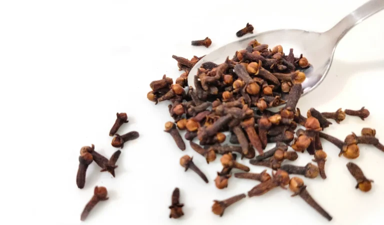 Astro Remedies: बाहर जाते समय घर से मुंह में लौंग रखने से क्या फायदे होते हैं? ज्योतिष ने बताएं इसके लाभ