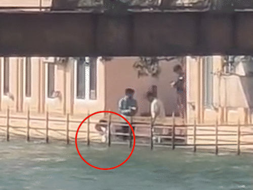 धर्मेंद्र की अस्थियां हरिद्वार में विसर्जित:सनी के बेटे करण ने किया गंगा में प्रवाहित, पूरा देओल परिवार रहा मौजूद