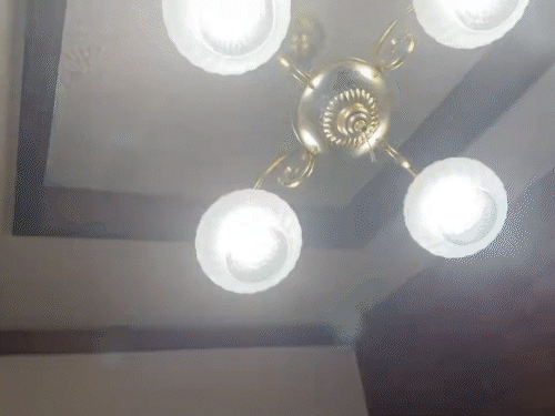 जापान में 7.6 तीव्रता का भूकंप, सुनामी की चेतावनी:3 मीटर ऊंची लहरें उठ सकती हैं; 50 किमी की गहराई में केंद्र