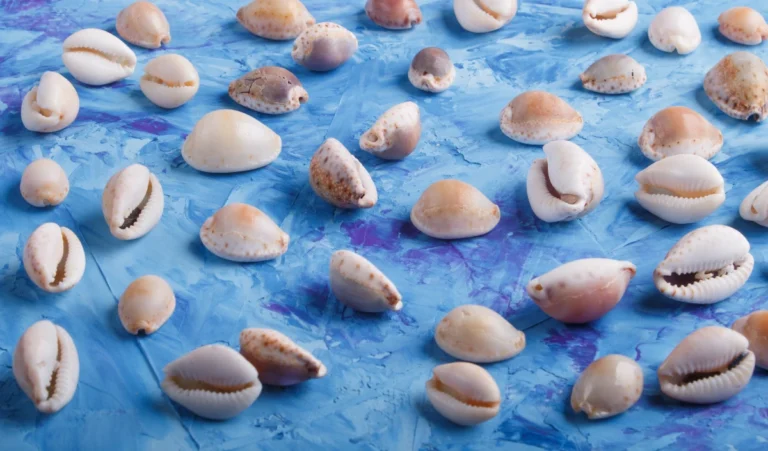 New Year 2026 Upay: नए साल पर चुपचाप करें ये खास उपाय, पूरे साल नहीं होगी धन की कमी