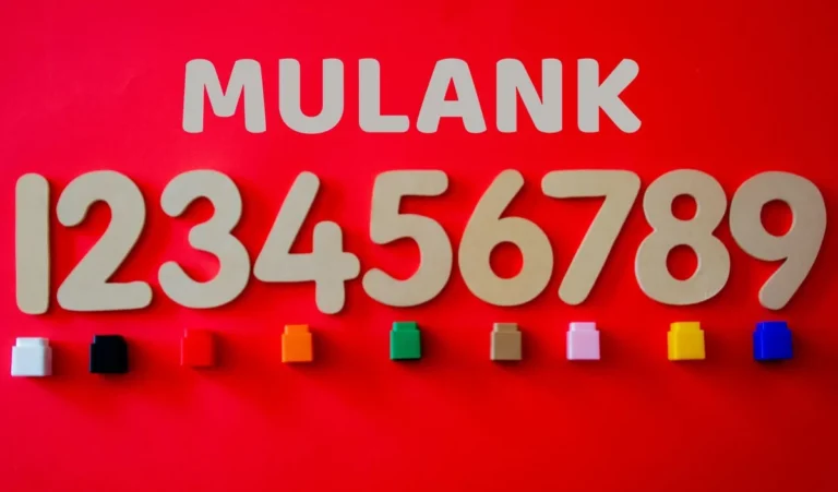 29 दिसंबर का भविष्यफल: मूलांक 5 को मिलेगा आर्थिक लाभ, मूलांक 9 के जातक होंगे व्यापार में मालामाल