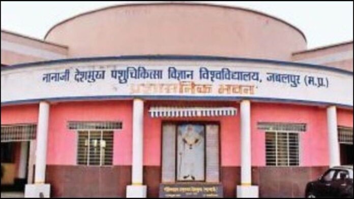 पंचगव्य शोध के करोड़ों डकार गए अफसर, गाय के गोबर-गोमूत्र पर रिसर्च के बजाय खुद के लिए खरीदी कार, एसी और फ्रिज