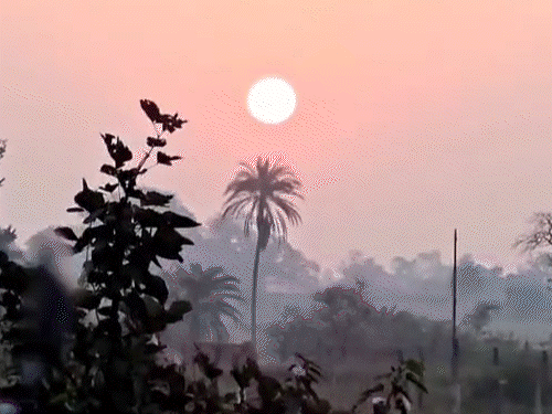 उत्तर छत्तीसगढ़ में 2 दिन पड़ेगी कड़ाके की ठंड:कोरिया-जशपुर सहित 6 जिलों में शीतलहर चलेगी, 3 दिन बाद मिलेगी राहत, 3° तक बढ़ेगा तापमान