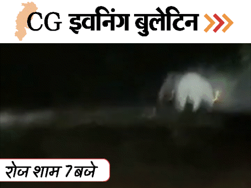 छत्तीसगढ़ इवनिंग बुलेटिन:कुत्ते से की ‘राम’ की तुलना, 50 लाख कैश जब्त, खाने में निकला मरा मेंढक, हाथी ने दौड़ाया, VIDEO में 10 खबरें
