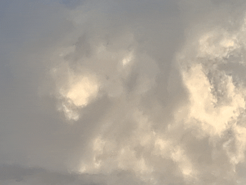 सरगुजा में 3 दिन तक गिरेगा तापमान, बढ़ेगी ठंड:दुर्ग-जगदलपुर में दिन का पारा 31°C पार, रायपुर में सुबह छाया कोहरा, बस्तर में टेंपरेचर स्थिर