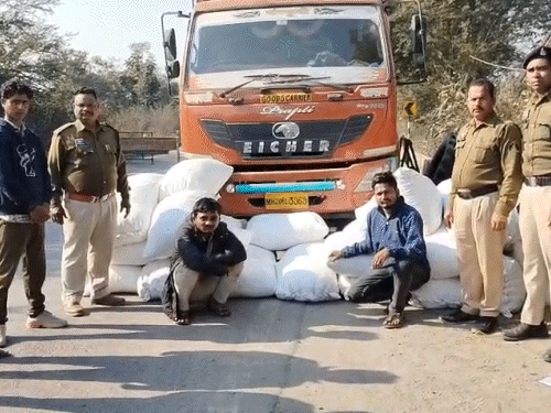 महासमुंद में ट्रक से मिला 4.75 करोड़ का गांजा:12 दिन में दूसरी बड़ी खेप पकड़ाई; ओडिशा से महाराष्ट्र ले जा रहे थे, 2 अरेस्ट
