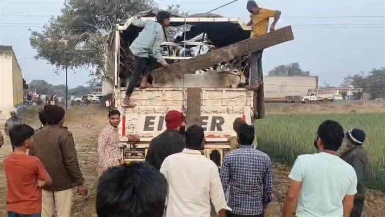 धार में गोवंश से भरा मिनी ट्रक पकड़ा, तस्करों की पथराव-फायरिंग में बजरंग दल के दो कार्यकर्ता घायल