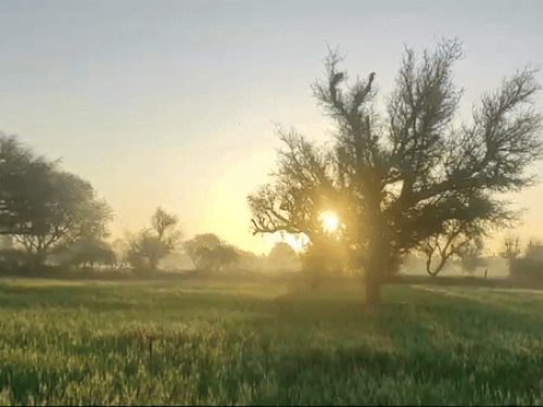 पिछले सात दिनों से रायपुर सबसे गर्म:33° तक पहुंचा अधिकतम तापमान; अगले 24 घंटे में 2-3 डिग्री तक बढ़ेगा रात का पारा