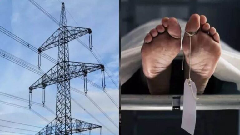 विदाई की खुशियां मातम में बदली… बहन को विदा कर अमरूद तोड़ रहा था भाई, हाईटेंशन लाइन की चपेट में आने से मौत