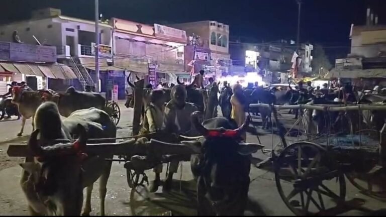 ईंधन संकट के दौर में पन्ना के अजयगढ़ में बैलगाड़ियों पर निकली बारात, परंपरा और पर्यावरण का दिया संदेश