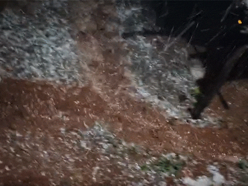 2 दिन आंधी-बारिश का अलर्ट, मैनपाट में ओले गिरे:सड़क पर बर्फ की चादर बिछी, रायपुर में बादल छाए, 4-5° लुढ़का तापमान