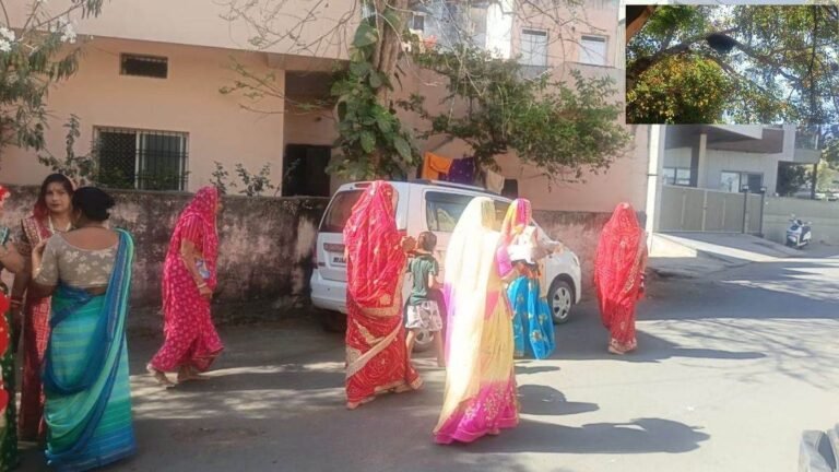 पीपल के पेड़ के नीचे पूजा कर रही महिलाओं पर मधुमक्खियों का हमला, 15 को मारे डंक