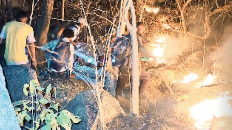 कोंडागांव-कांकेर के जंगल में लगी आग, वन विभाग में हड़कंप, धमतरी में आग से चना, गेहूं और सरसों की फसल जलकर राख