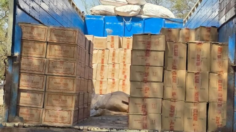 गुजरात में 6 गुना महंगी बिकती है शराब, मंदसौर बना तस्करी का रास्ता; सोयाबीन की बड़ी के बीच मिली 350 पेटियां