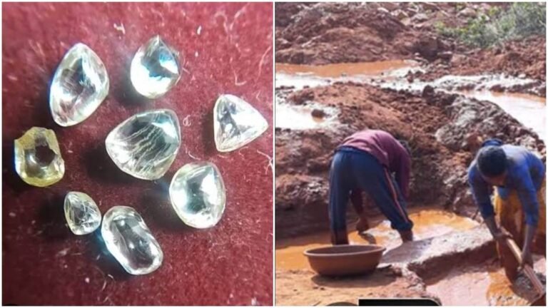 अंतरराष्ट्रीय युद्ध का असर: पन्ना का हीरा कारोबार 60% तक मंदा, 24 मार्च की नीलामी स्थगित