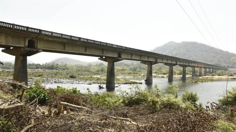 माओवादी हिंसा के खात्मे के बाद बोधघाट बदल सकता है जंगल का अर्थशास्त्र
