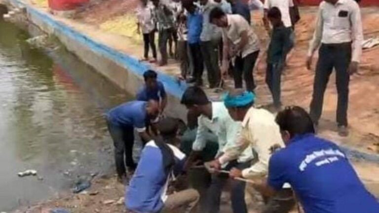 ‘लोगों को दौड़ाया, घरों के दरवाजे तोड़े…’, कुत्ते के काटने के बाद बौराया सांड; भिलाई में रातभर चला बेकाबू सांड का ‘आतंक’