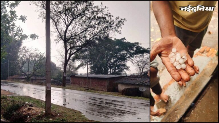 CG Weather Update: सरगुजा से महासमुंद तक आंधी-बारिश और ओलावृष्टि, अंबिकापुर में तेज हवाओं से टूटे पेड़, किसानों की बढ़ी चिंता