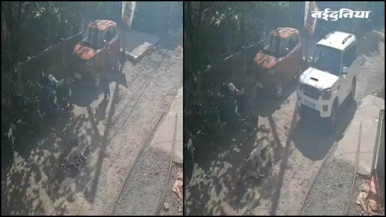 धार में बेजुबान पर क्रूरता… पड़ोसी ने पालतू कुत्ते पर चढ़ाई कार, हुई मौत, घटना का वीडियो वायरल होने पर केस दर्ज