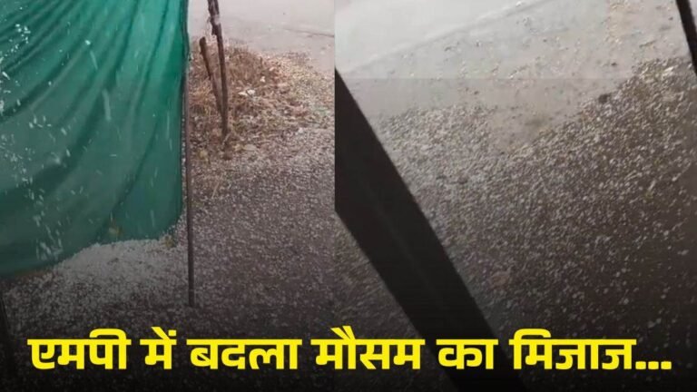एमपी में बदला मौसम का मिजाज… बारिश के साथ गिरे ओले, गेहूं-चने की कटी फसलों पर मंडराया संकट