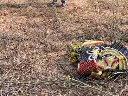 मां को खाना नहीं परोसने पर पत्नी को मार डाला:बालोद में गला घोंटकर हत्या की, पुलिस से बोला-गिरकर मर गई;मानसिक रूप से बीमार थी