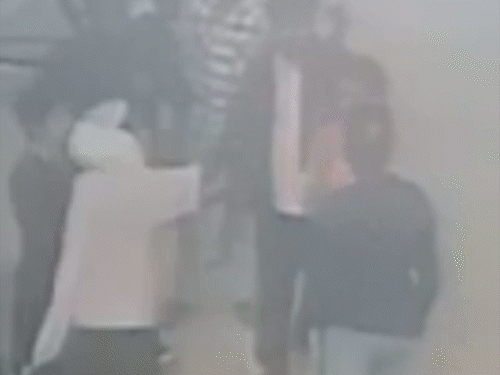 रायपुर में डॉग रेस्क्यू टीम ने गर्भवती को थप्पड़ जड़ा...VIDEO:टी शर्ट खींची, धक्का दिया, पेट्स की देखभाल को लेकर मारपीट, डॉग-मोबाइल छीन लिए